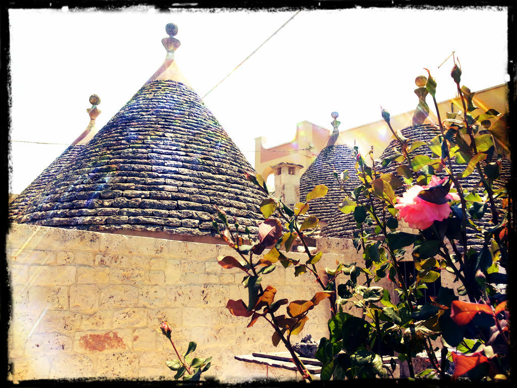 ألبيروبيللو Dimora Matarrese B&B Trulli المظهر الخارجي الصورة