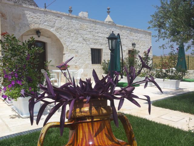 ألبيروبيللو Dimora Matarrese B&B Trulli المظهر الخارجي الصورة